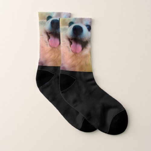 Custom Puppy Dog Photo Pomeranian Large Socks