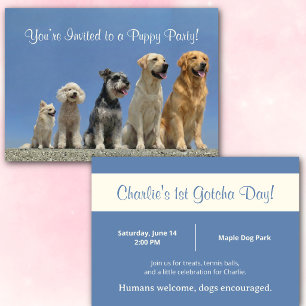 Custom Puppy Party Invitation with Dog Photo