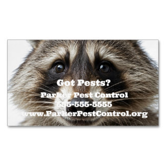 Custom Raccoon Pest Control Business Card Magnet