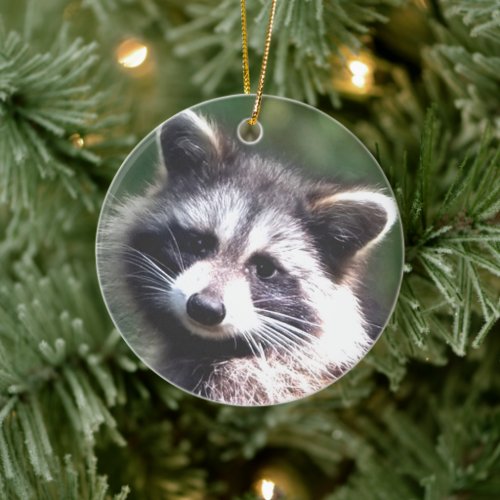 Custom Raccoon Photo Ceramic Ornament