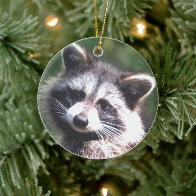 Custom Raccoon Photo Ceramic Ornament (Tree)