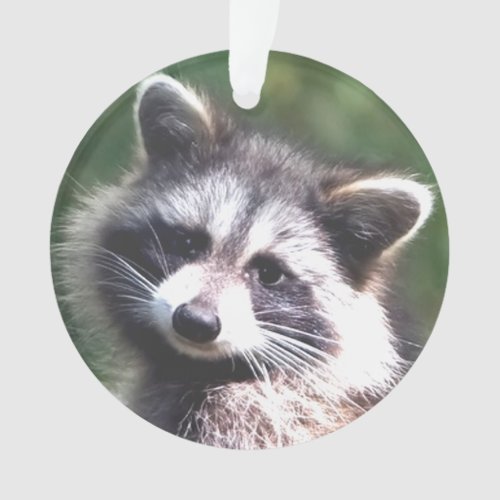 Custom Raccoon Photo Ornament