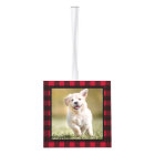 Custom Red Buffalo Plaid Dog Puppy 3 Pet Photo
