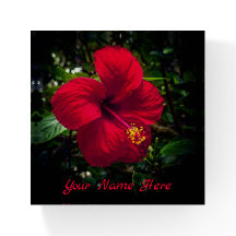 Custom "Red Hibiscus" Paperweight