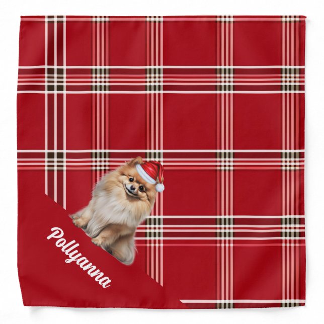 Custom Red Plaid Pomeranian Dog Santa Christmas Bandana (Front)