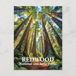 Custom Redwood National Park Trees Painting Travel Postcard