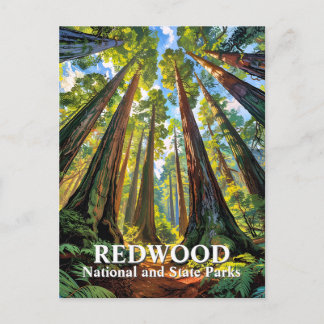 Custom Redwood National Park Trees Painting Travel Postcard