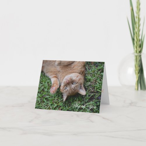 Custom Rescued Orange Striped Cat Thank You Card