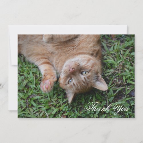 Custom Rescued Orange Striped Cat Thank You Card