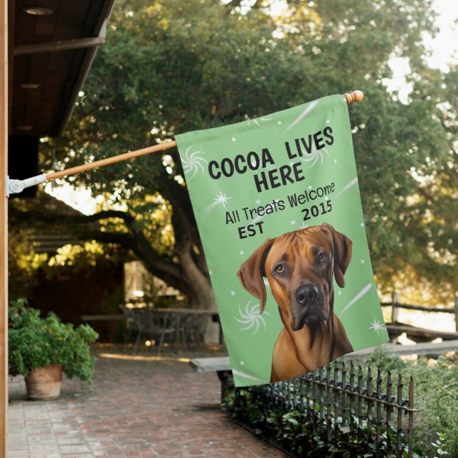 Custom Rhodesian Ridgeback House Flag (In SItu)