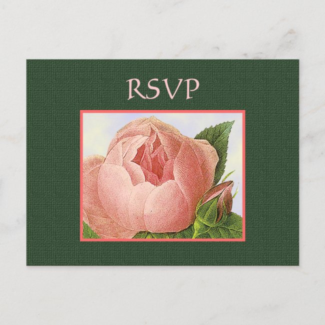 Custom RSVP Botanical Pink Roses Postcard
