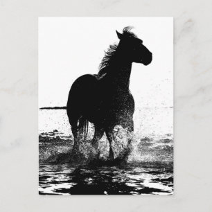 Custom Running Horse Modern Black & White Pop Art Postcard