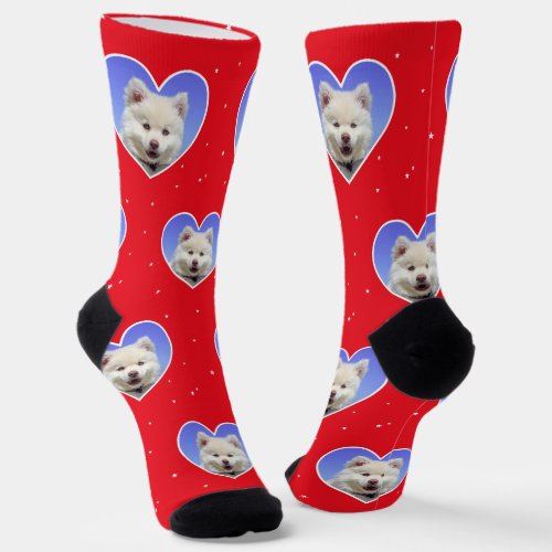 Custom Samoyed Dog Photo on Red Crew Socks