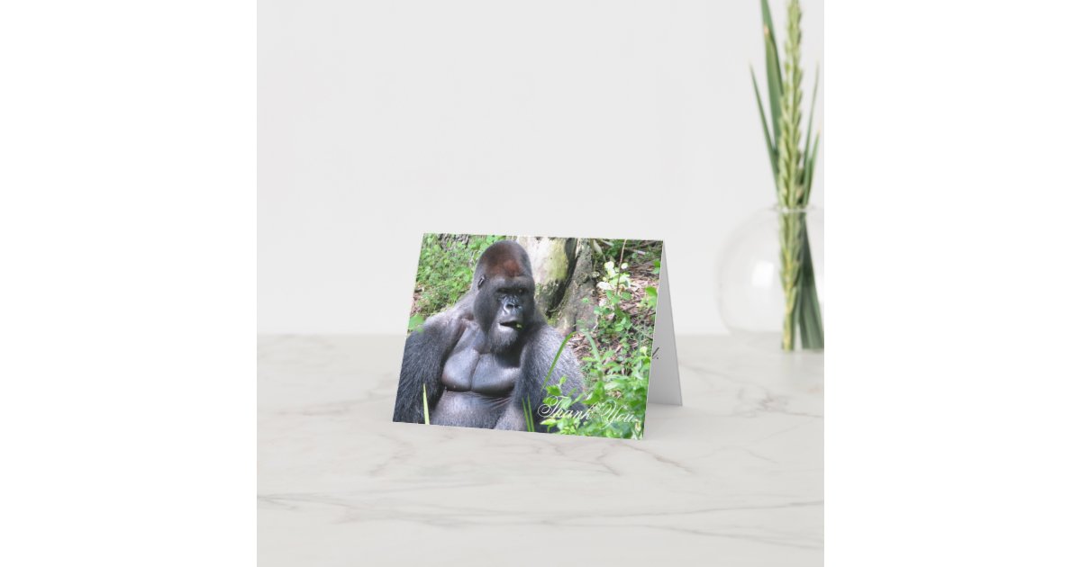 Custom Sassy Gorilla Thank You Card | Zazzle