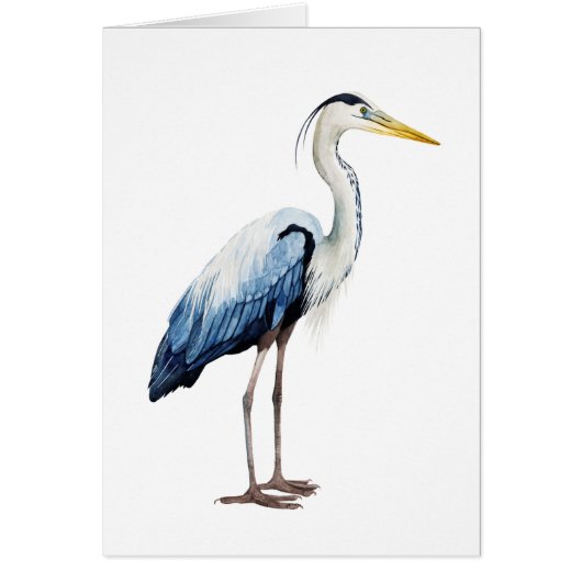 Custom Seabird Heron II Cards (Front)
