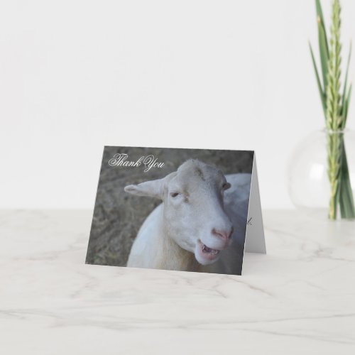 Custom Sheep Thank You Card