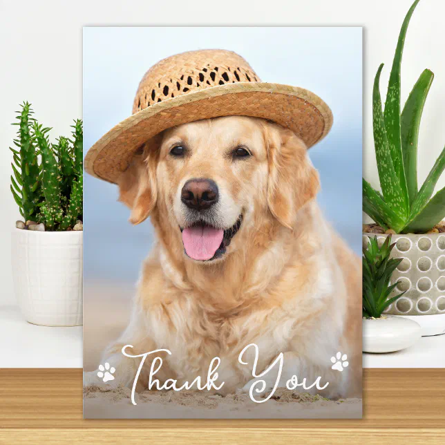 Custom Simple Dog Pet Photo Vet Tech Veterinarian Thank You Card | Zazzle