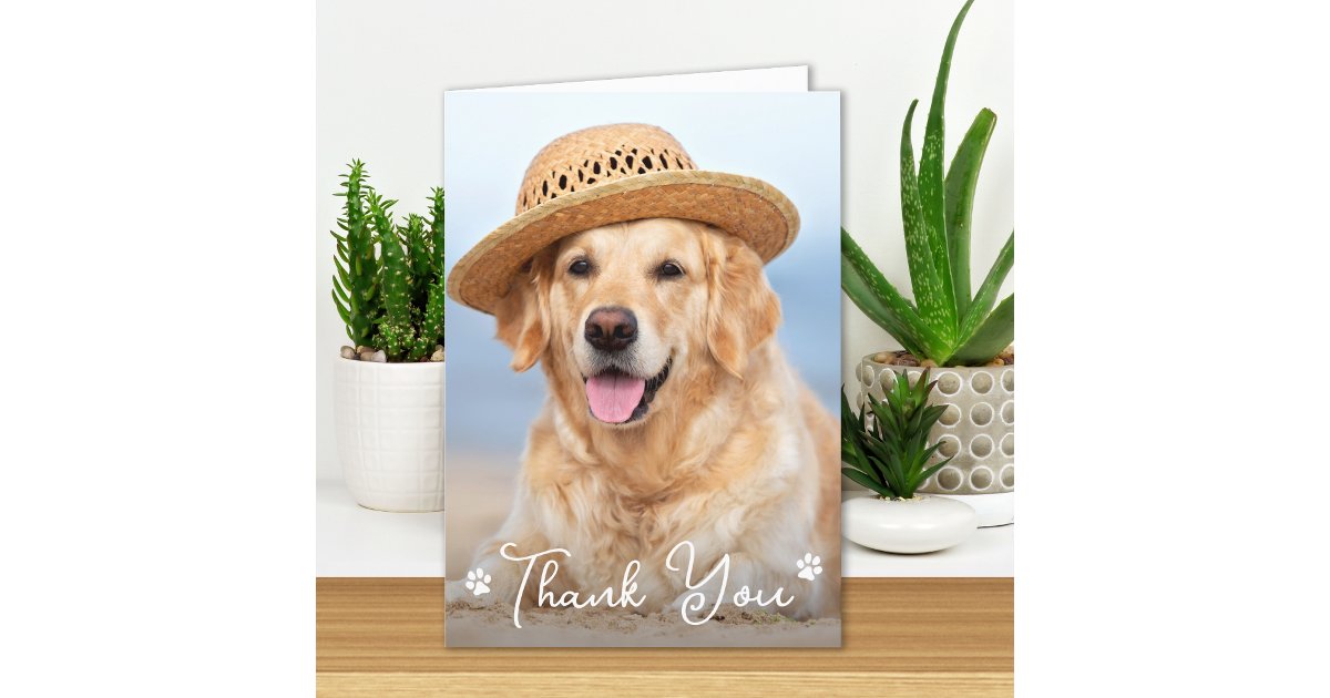 Custom Simple Dog Pet Photo Vet Tech Veterinarian Thank You Card | Zazzle
