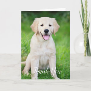 Custom Simple Dog Pet Photo Vet Tech Veterinarian Thank You Card