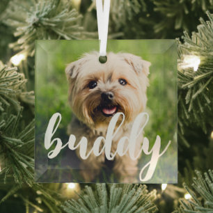 Custom Simple Elegant Pet Photo Glass Ornament
