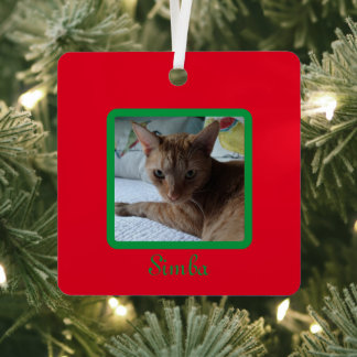 Custom Simple Modern Pet Photo Red Green Metal Ornament