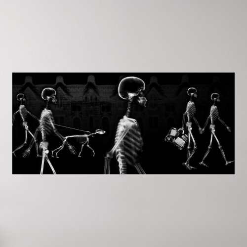 Custom Size X_Ray Skeleton Aquarium Background Poster