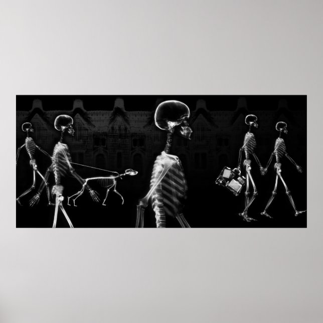 Custom Size X-Ray Skeleton Aquarium Background Poster (Front)