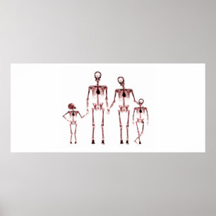 Custom Size Xray Aquarium Background Skull Family Poster