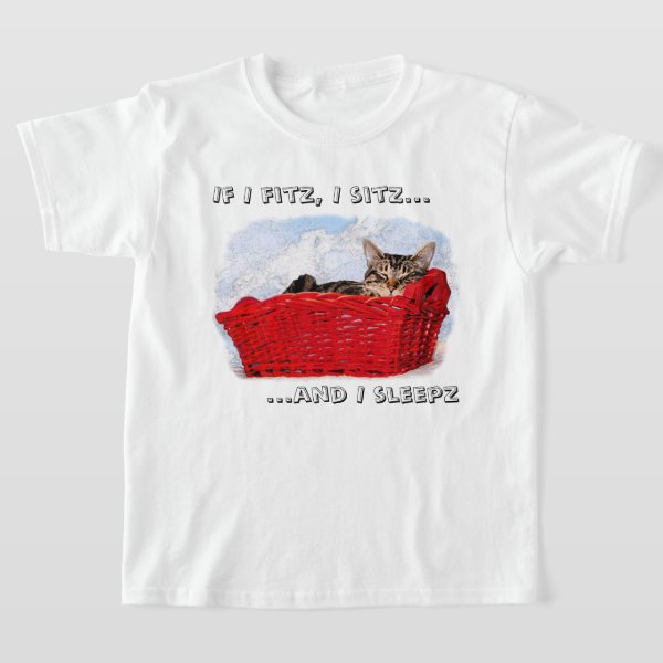 Custom Sleeping Gray Kitten In Red Basket Front