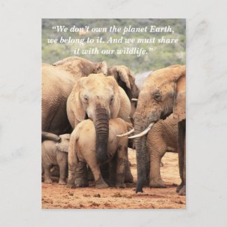 Custom Slogan/Conservation Elephant Bodyguard