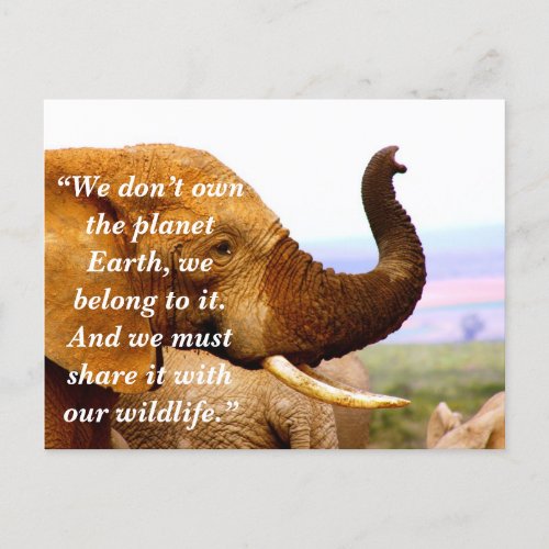 Custom SloganConservation Elephant Scents Holiday Postcard