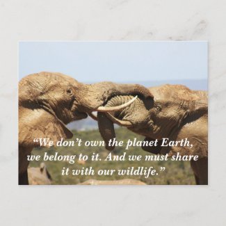 Custom Slogan/Conservation Elephant Tussle