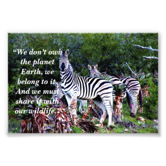 Custom Slogan/Conservation Zebra Aloe Photo Print