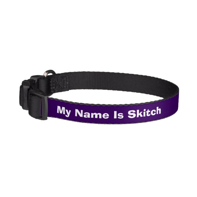 Custom Small Purple Identity Dog Collar by Janz (Left)