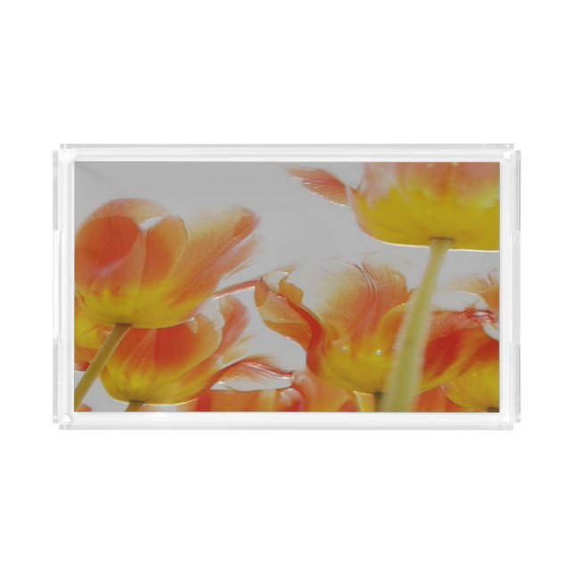 custom small rectangle tray (Front)