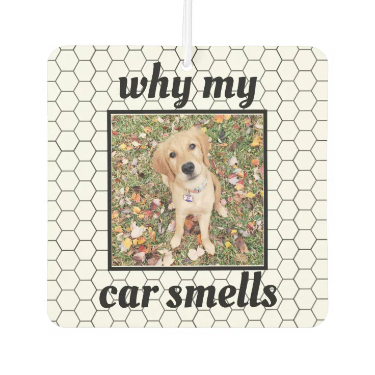 smelly dogs car air freshener