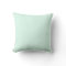Custom Solid Light Mint Green Color