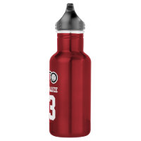 Sports Water Bottle Personalized, Sports Water Bottle, Volleyball