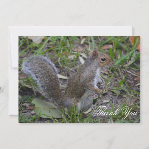 Custom Spring Park Squirrel Folded Thank You Card