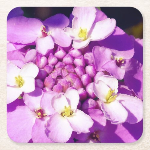 Custom Square Coasters Purple flower blossoms