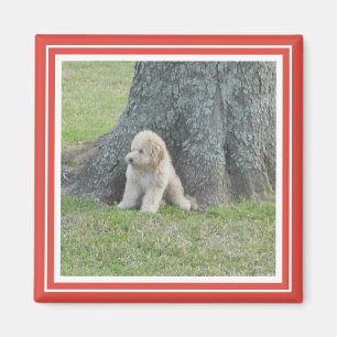 Custom Square Photo Template Classic Red & White Magnet