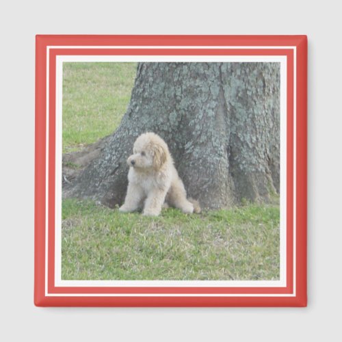 Custom Square Photo Template Classic Red  White Magnet