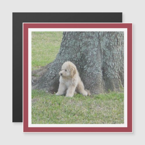 Custom Square Photo Template Cute Red Frame Magnet