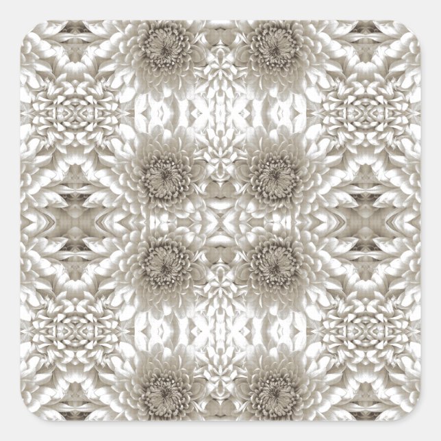 Custom Stickers | Square, Round & Rectangle (Front)