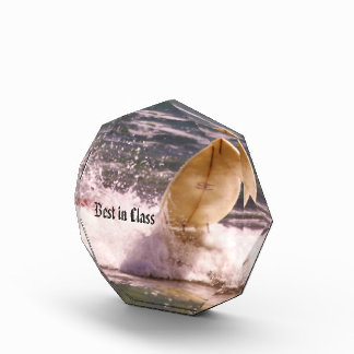Custom Surfing Award