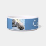 Custom Tabby Cat Pet Bowl<br><div class="desc">Great gift for your cat Put his name on his bowl</div>