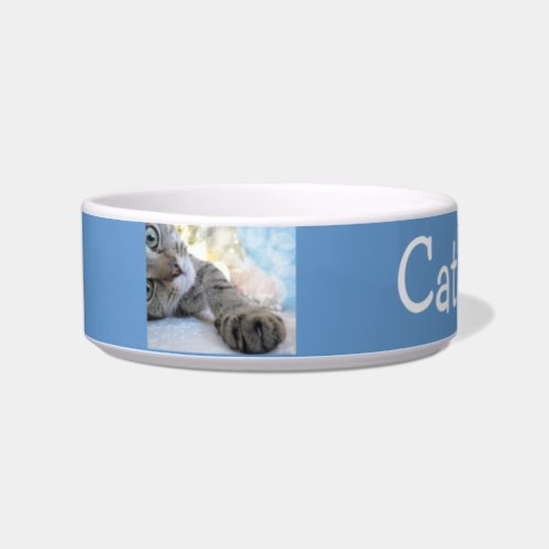 Custom Tabby Cat Pet Bowl