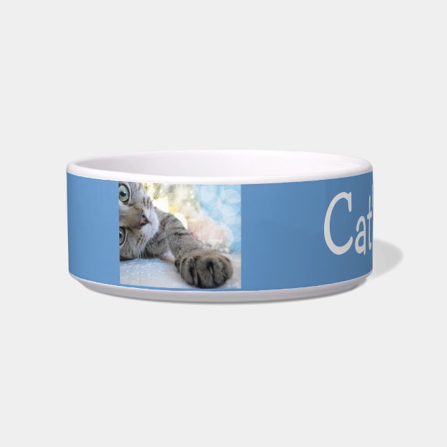Custom Tabby Cat Pet Bowl (Left)