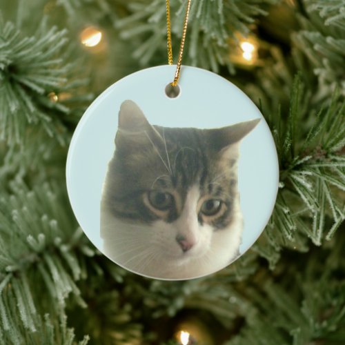 Custom Tabby Cat Photo on Light Blue Ceramic Ornament