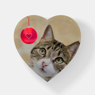 Custom Tabby Cat Photo Paperweight
